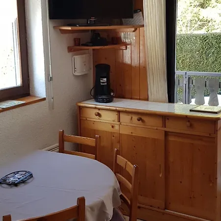 2 Pieces Avec Terrasse, Proche Commodites Et Navettes, 4 Pers, Wifi, Parking, - Fr-1-676-187 * Châtel